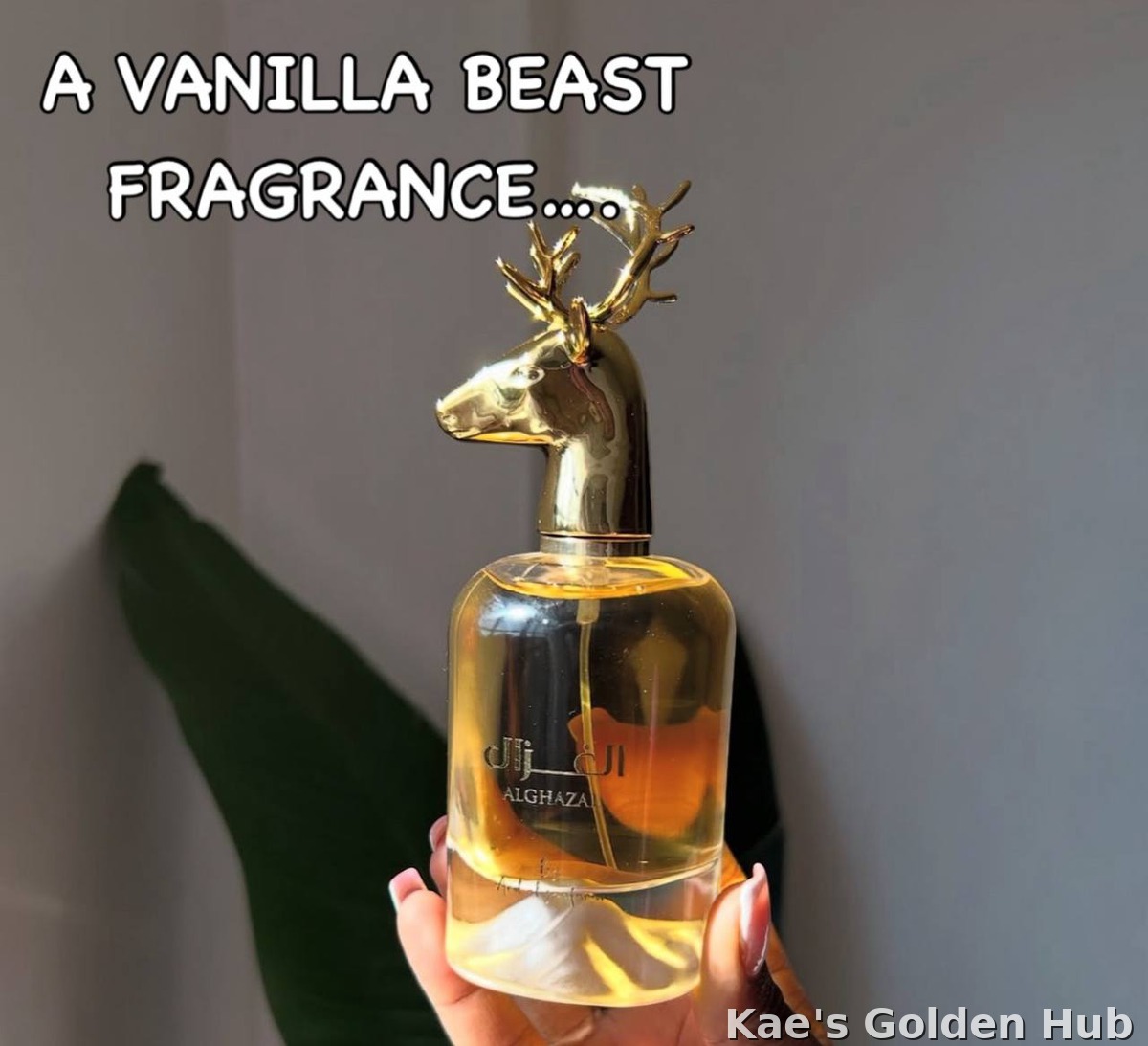 Al Ghazal By Ard Al Zafaaran